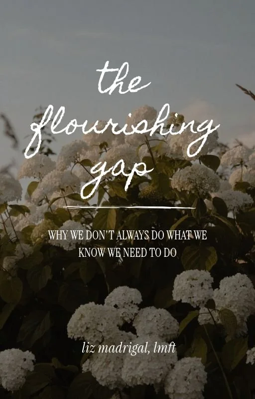 The Flourishing Gap: Why We Don't Always Do What We Know We Need to Do