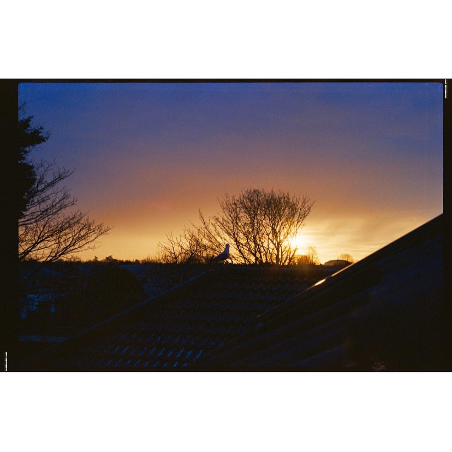 Attic view- Pre-Pandemic 🌅. #dublin #sunrise #precovid19 #film #35mm #olumpus #om10 #silbersalz35