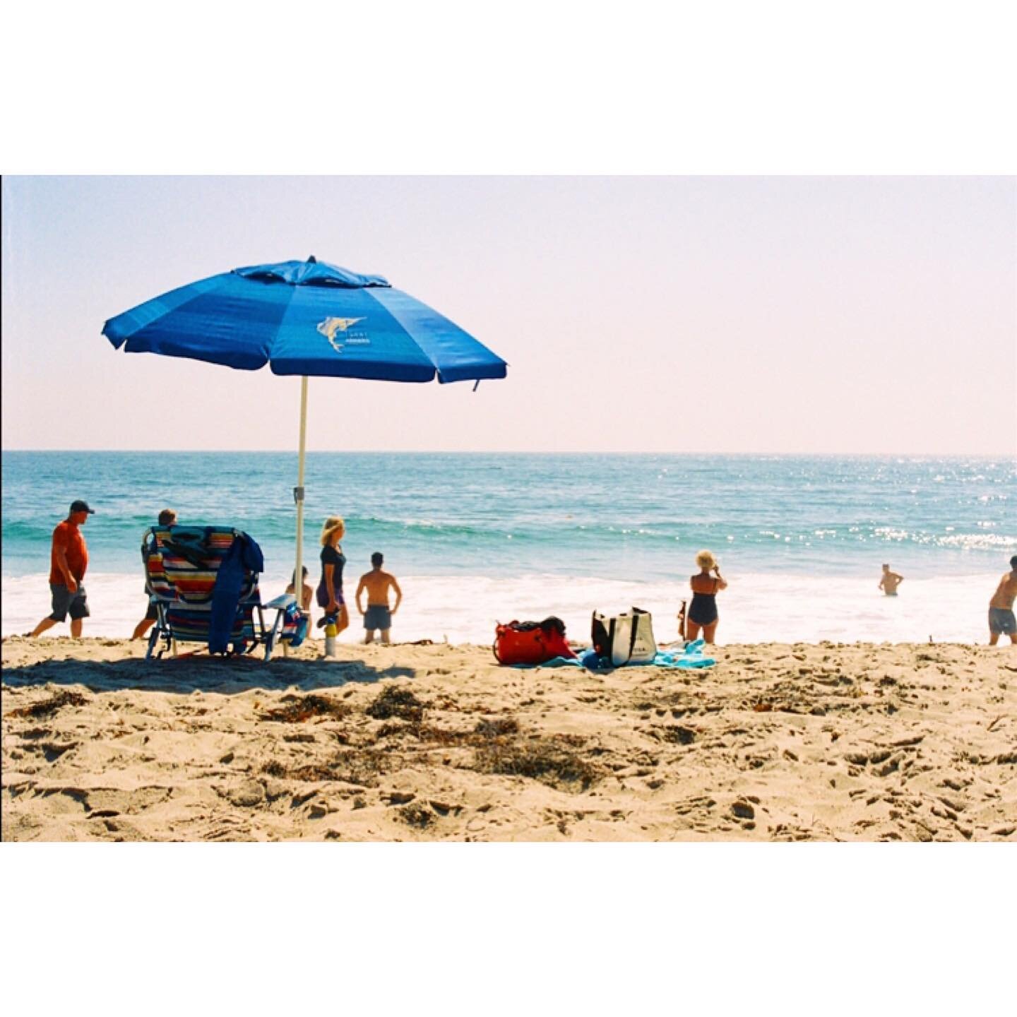 Pooped on, Stung and Burnt, but all round a lovely day 😂
#losangeles #malibu #sun #umbrella #beach #holidays #film #olympus #om10 #portra400 #35mm