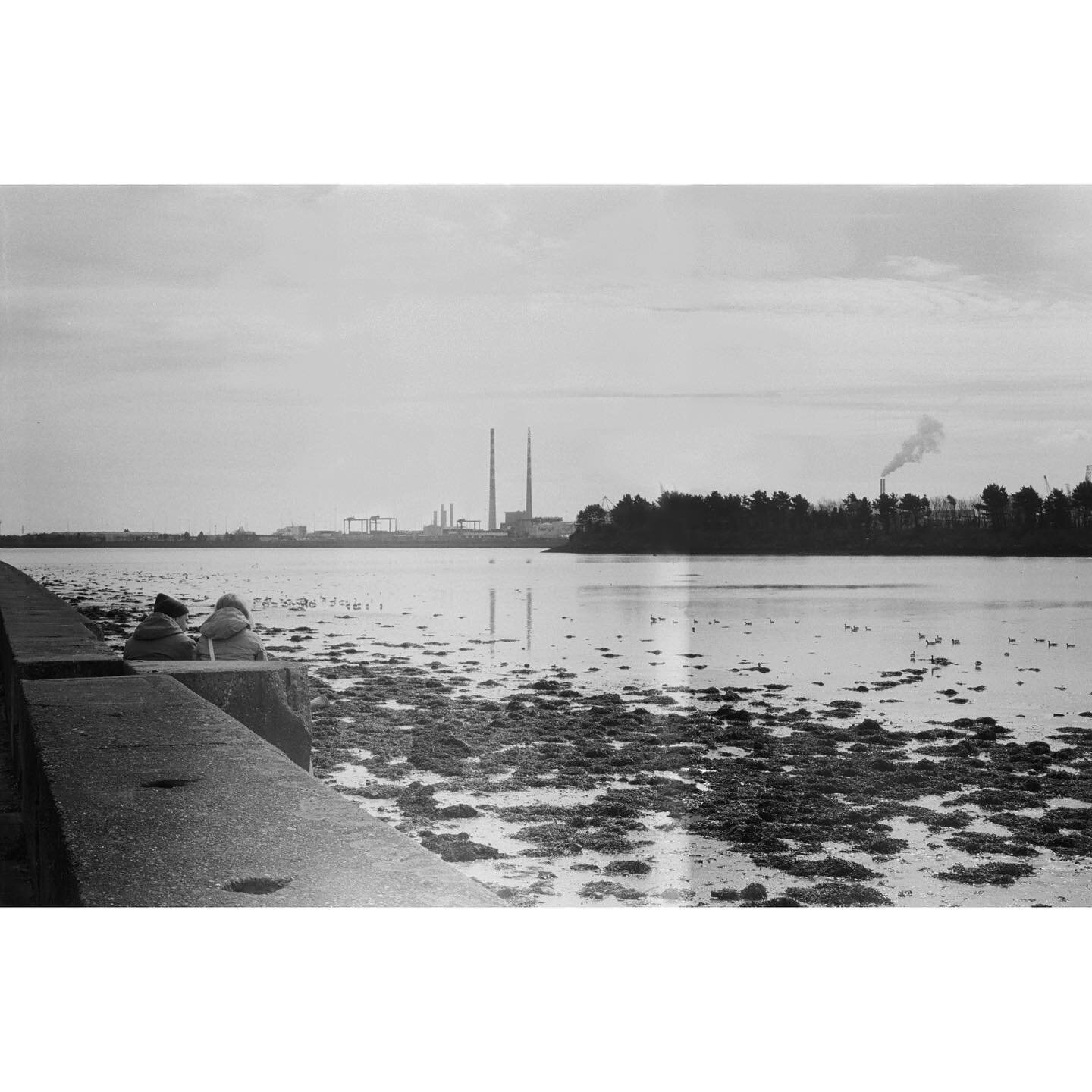 🏭 #film #35mm #olympus #om10 #dublin #ireland  #poolbegchimneys #seafront