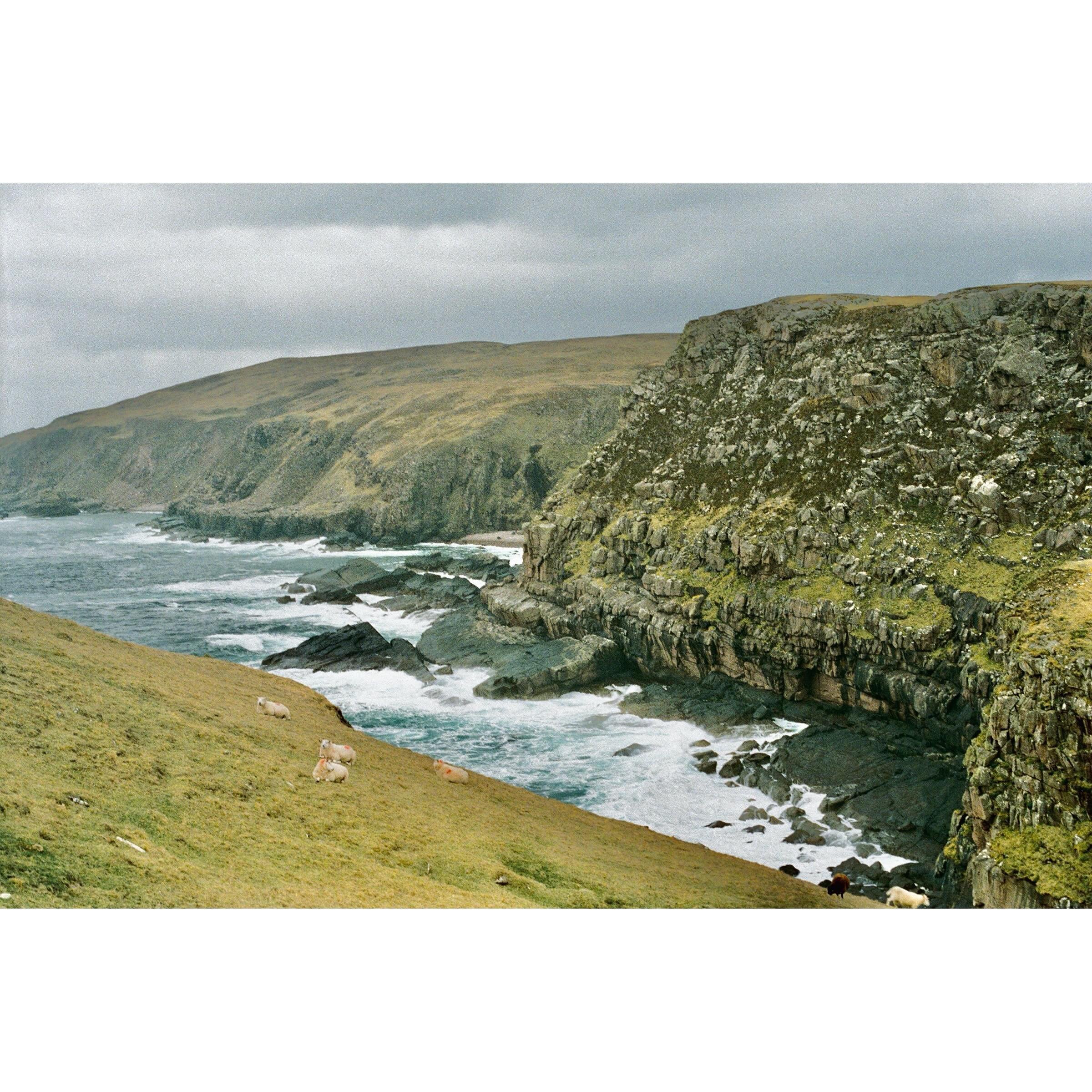 🐑 #nc500 #scotland  #35mmfilm #olympusom10