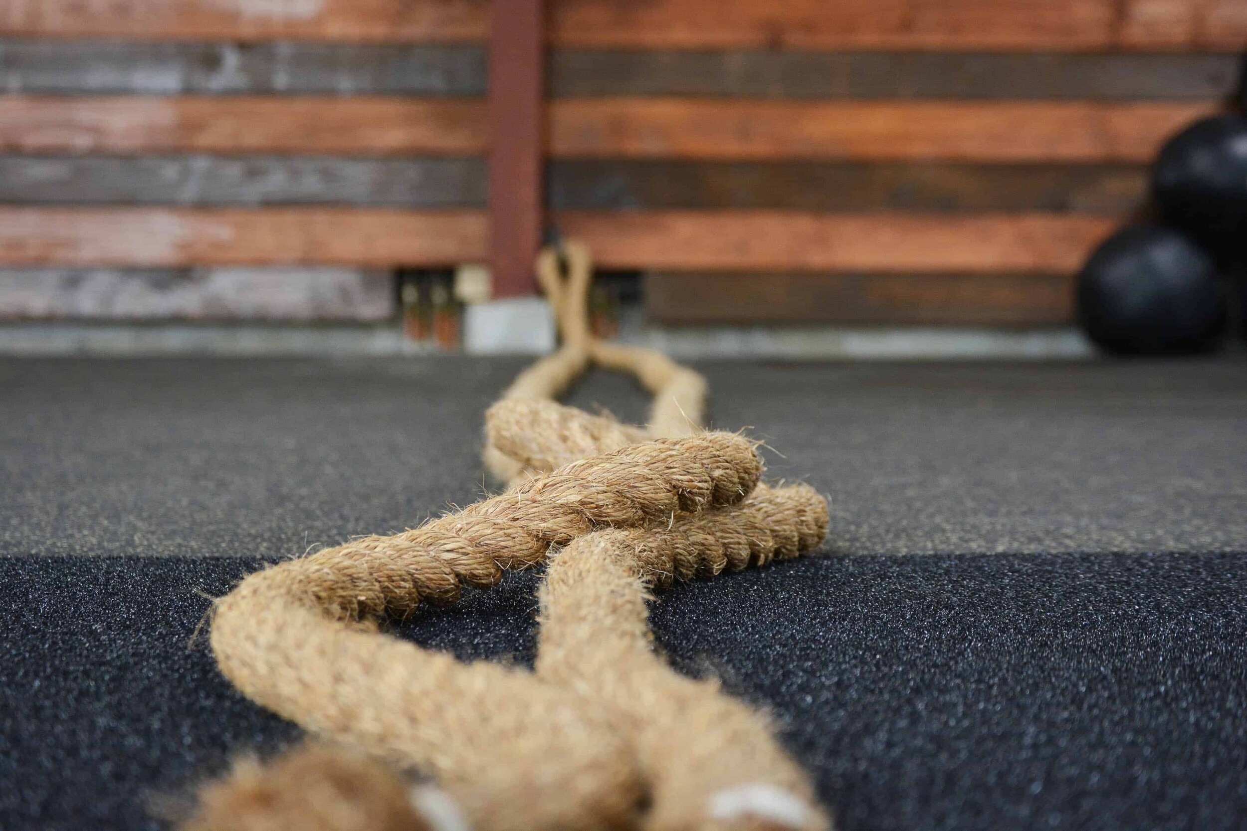Canva - Gym Ropes _ Battle Ropes.jpg