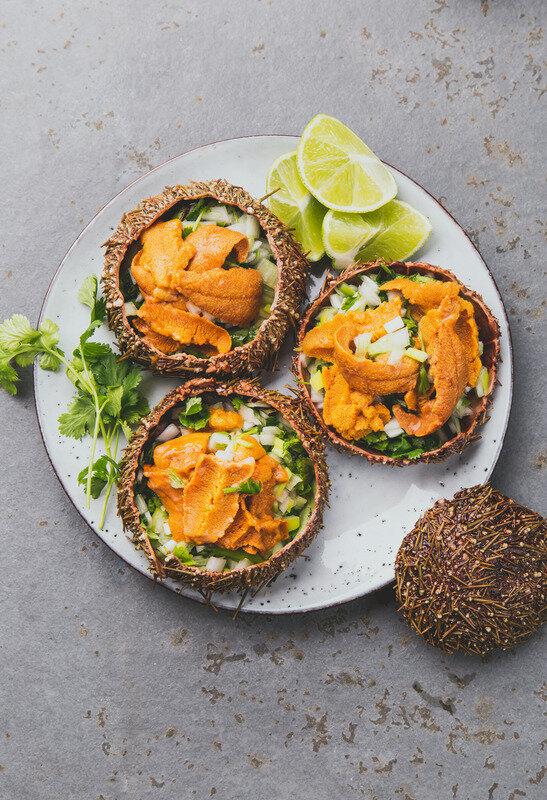 Is Uni (Sea Urchin Roe) Healthy? (5 Tips For Weight Loss) — Aspire Fitness