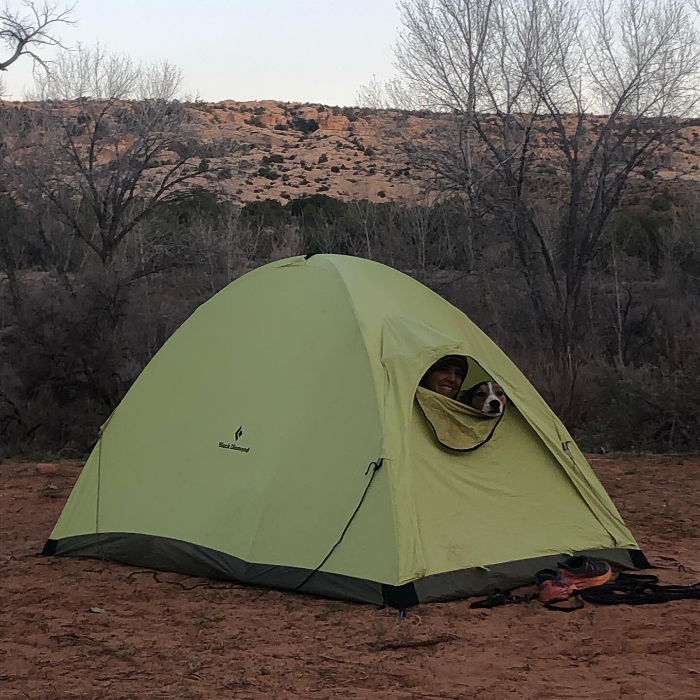 We&rsquo;ve got some big news to share! As many of you probably already know, Hannah is a total dog nerd. 

Aside from starting Sew Alpine, she works full-time at a local vet clinic now, adores her two goofy rescue dogs, and took vacation time to vol