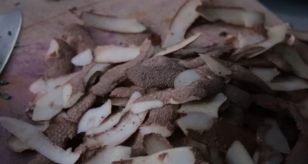 Kitchen Table Talk #001: Creating Regenerative Stories for Ourselves and Our Communities in the Era of Climate Chaos