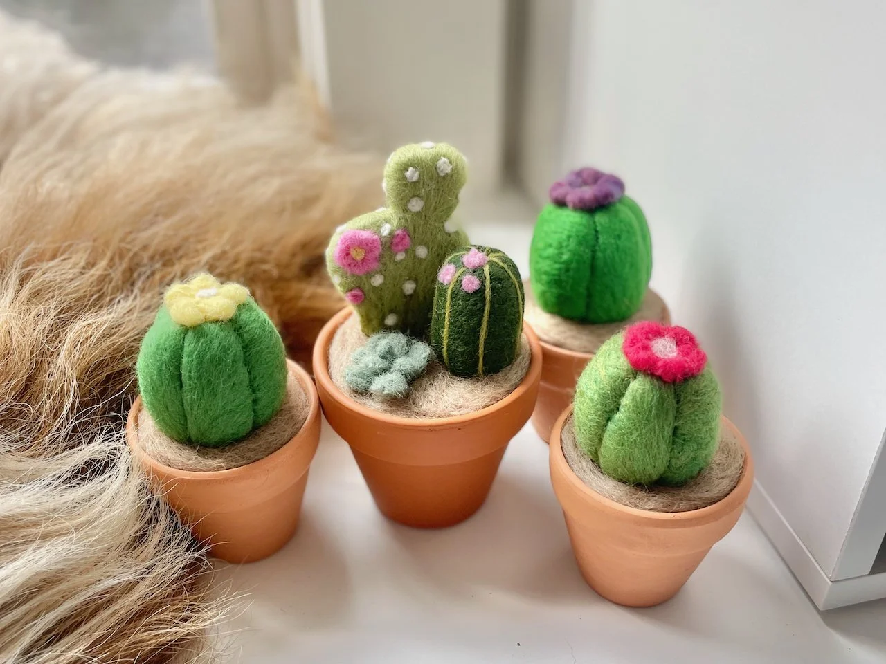 Needle Felting Class - Cacti Planters