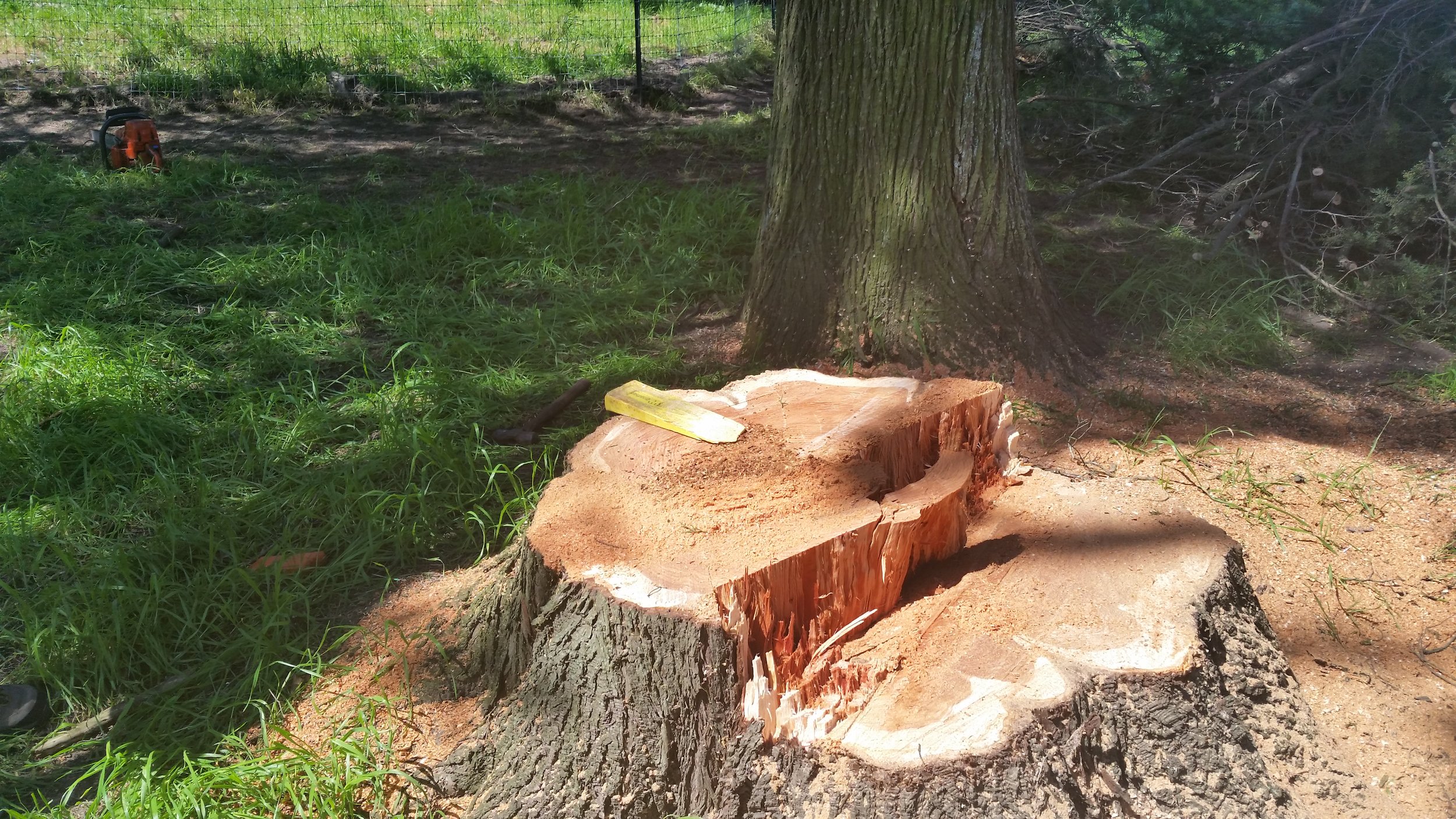20140426_143326.jpg