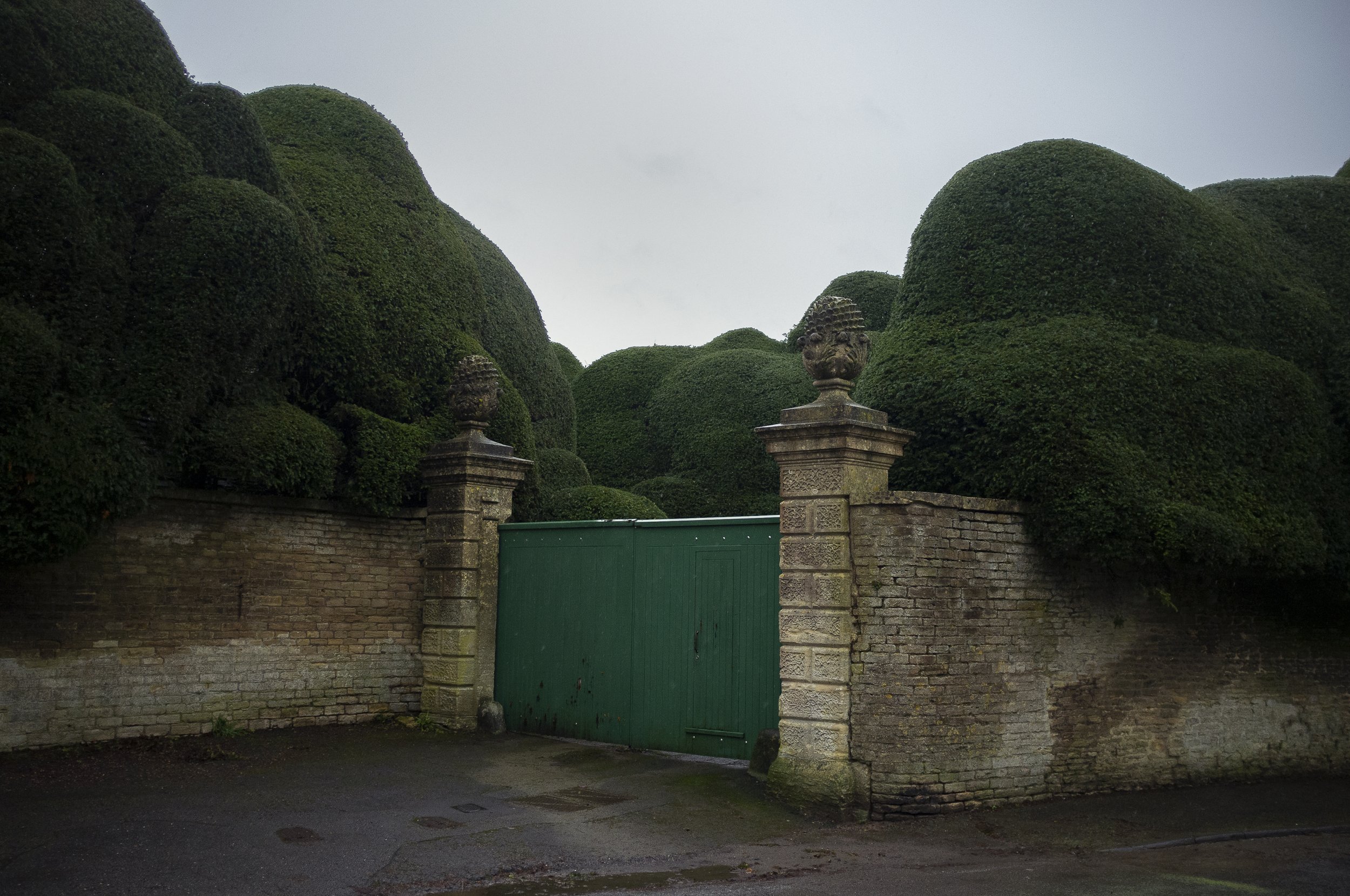  Hilary Wardhaugh  Full to Overflowing , 2026 