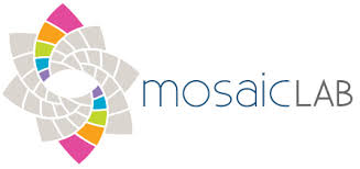 mosaic lab.jpeg