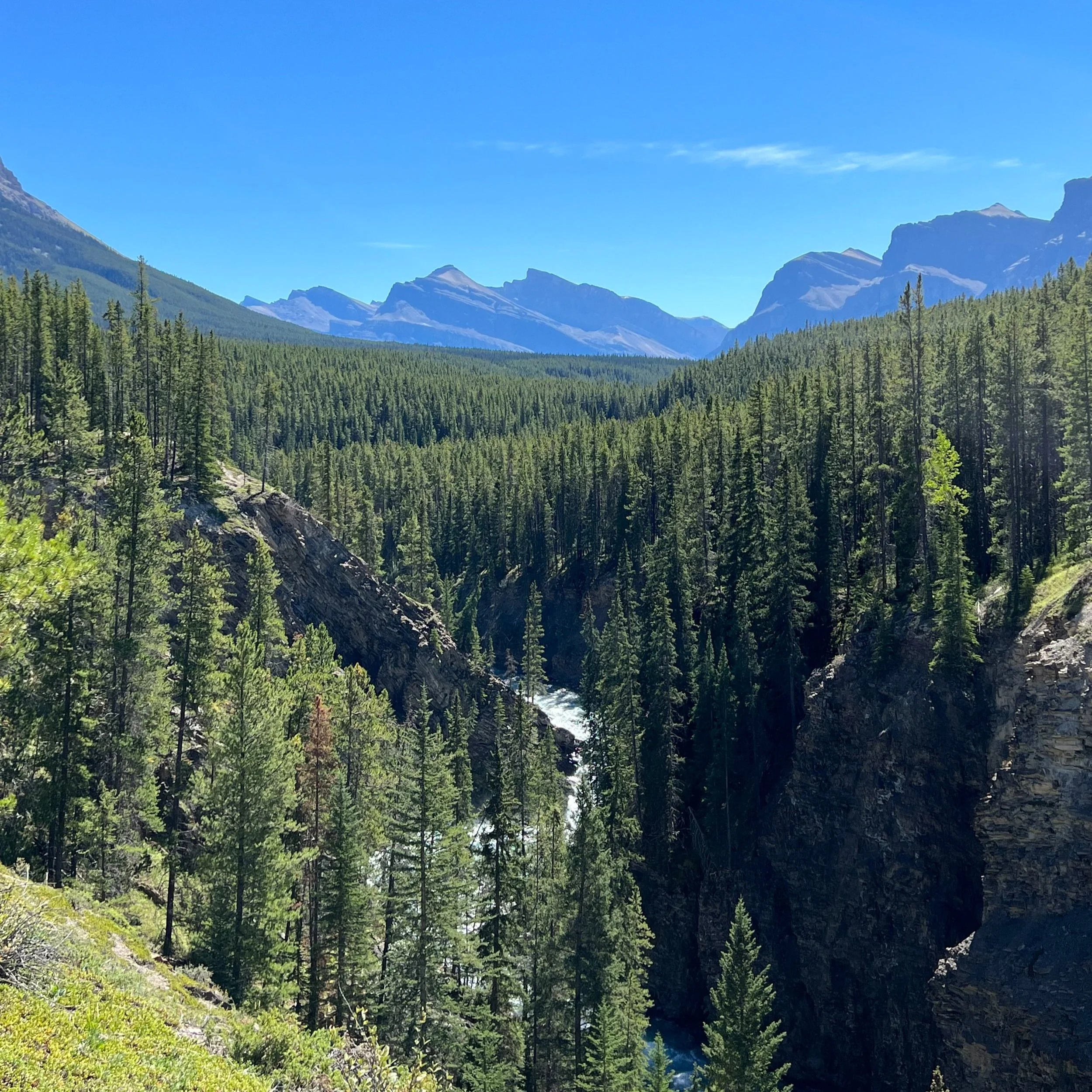 The Canadian Shield
