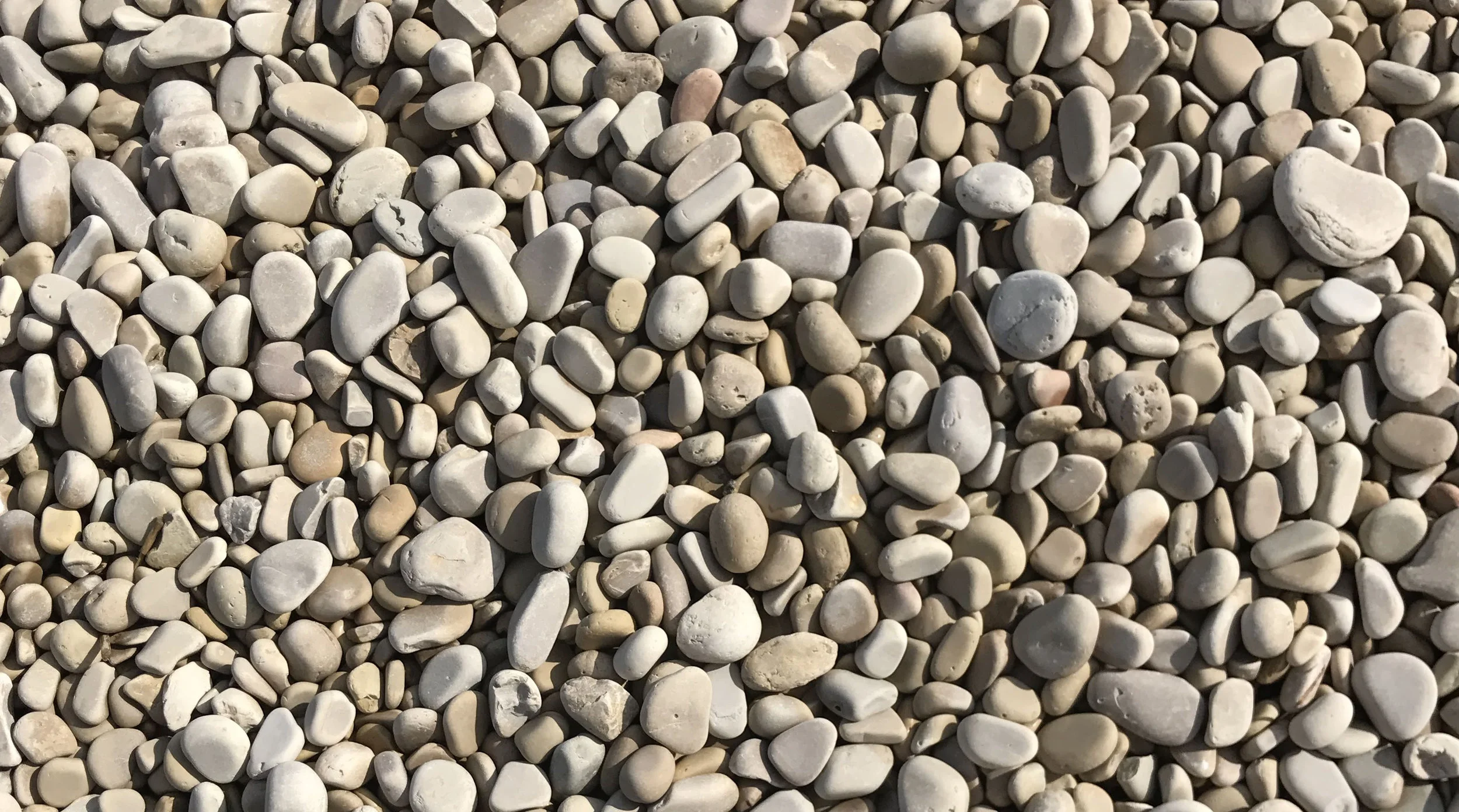 A Primer to Neurodiversity and Neurodivergence