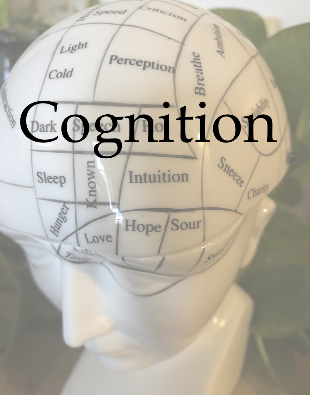 Cognition.jpg