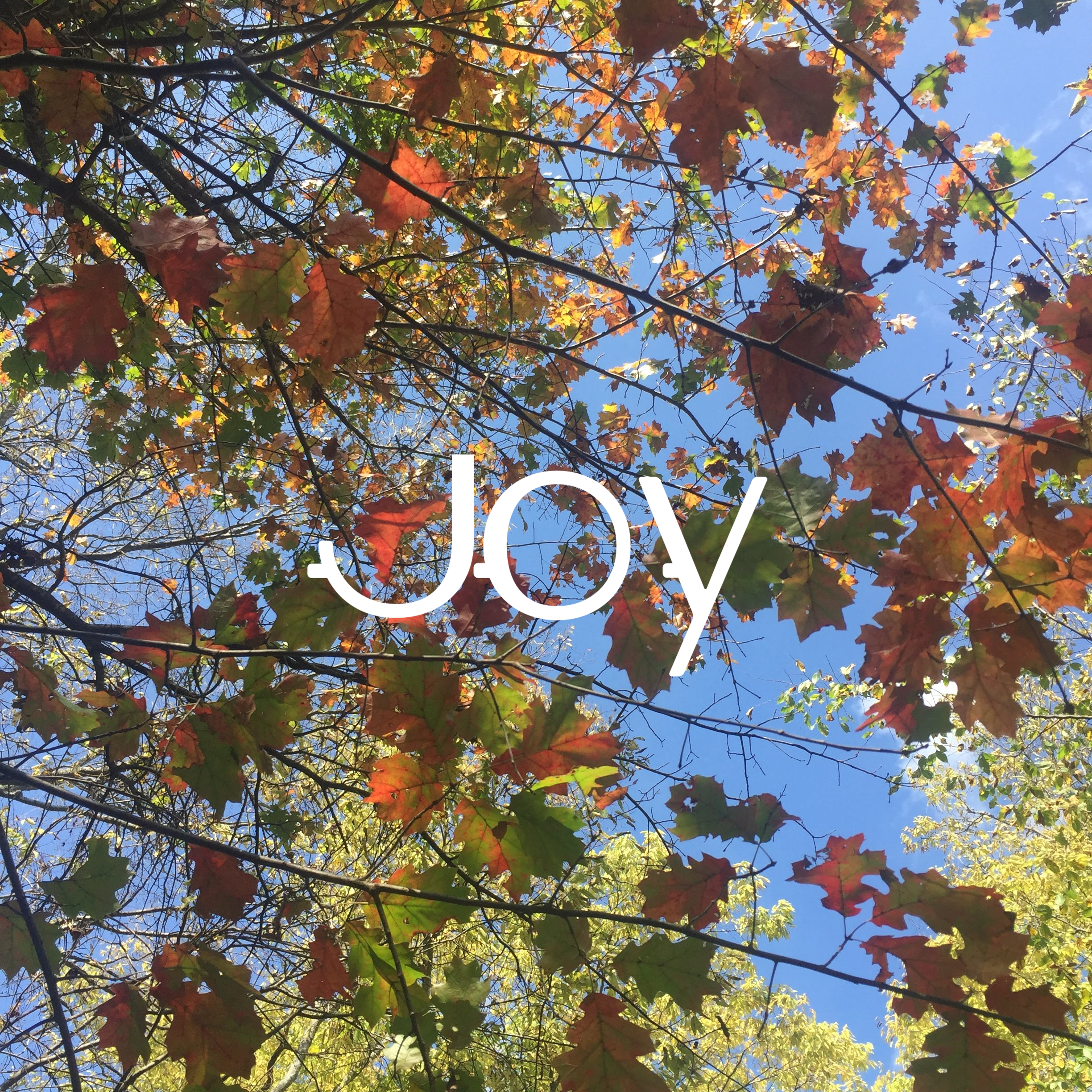 Joy.jpg