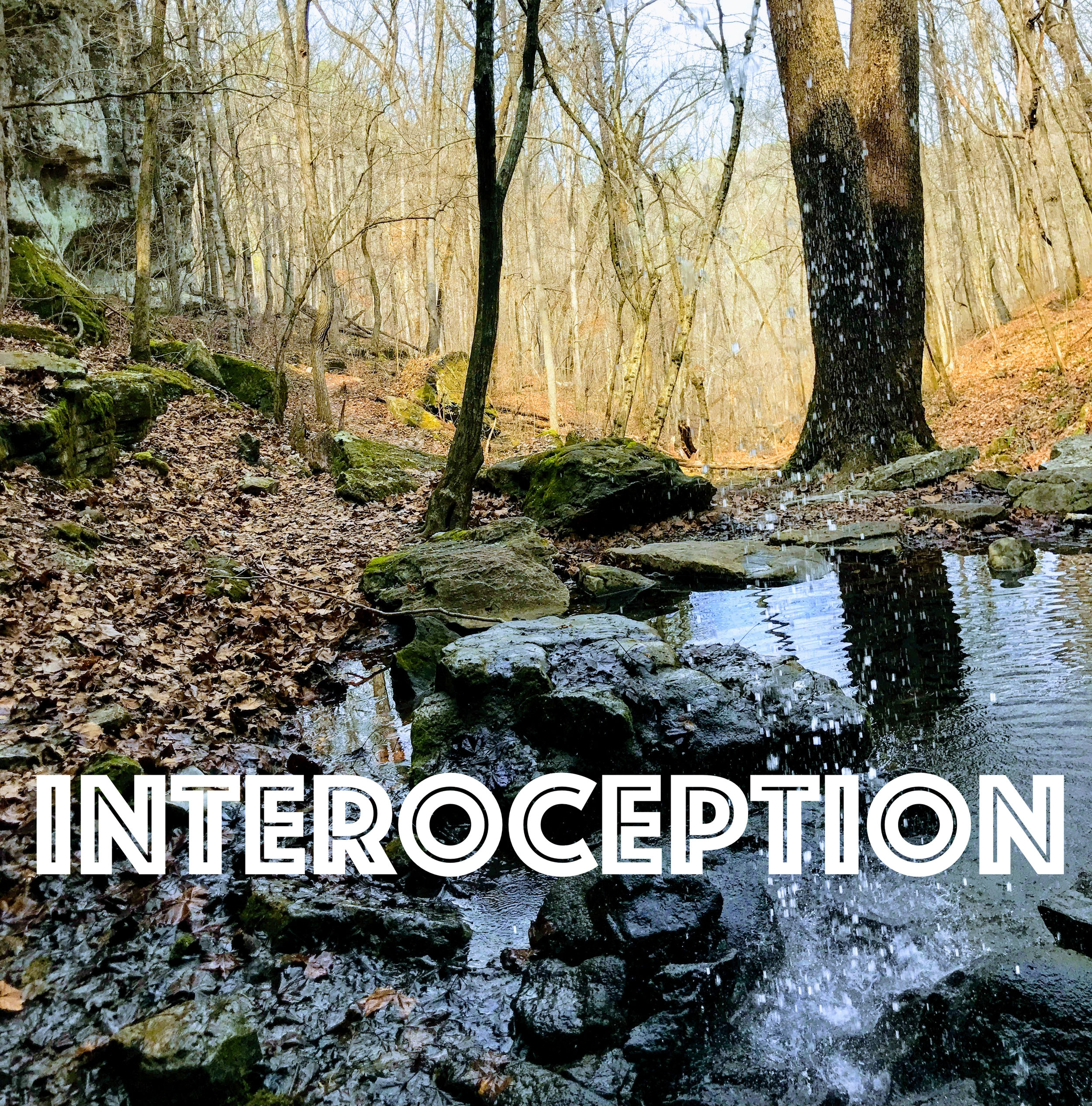 Interoception.jpg