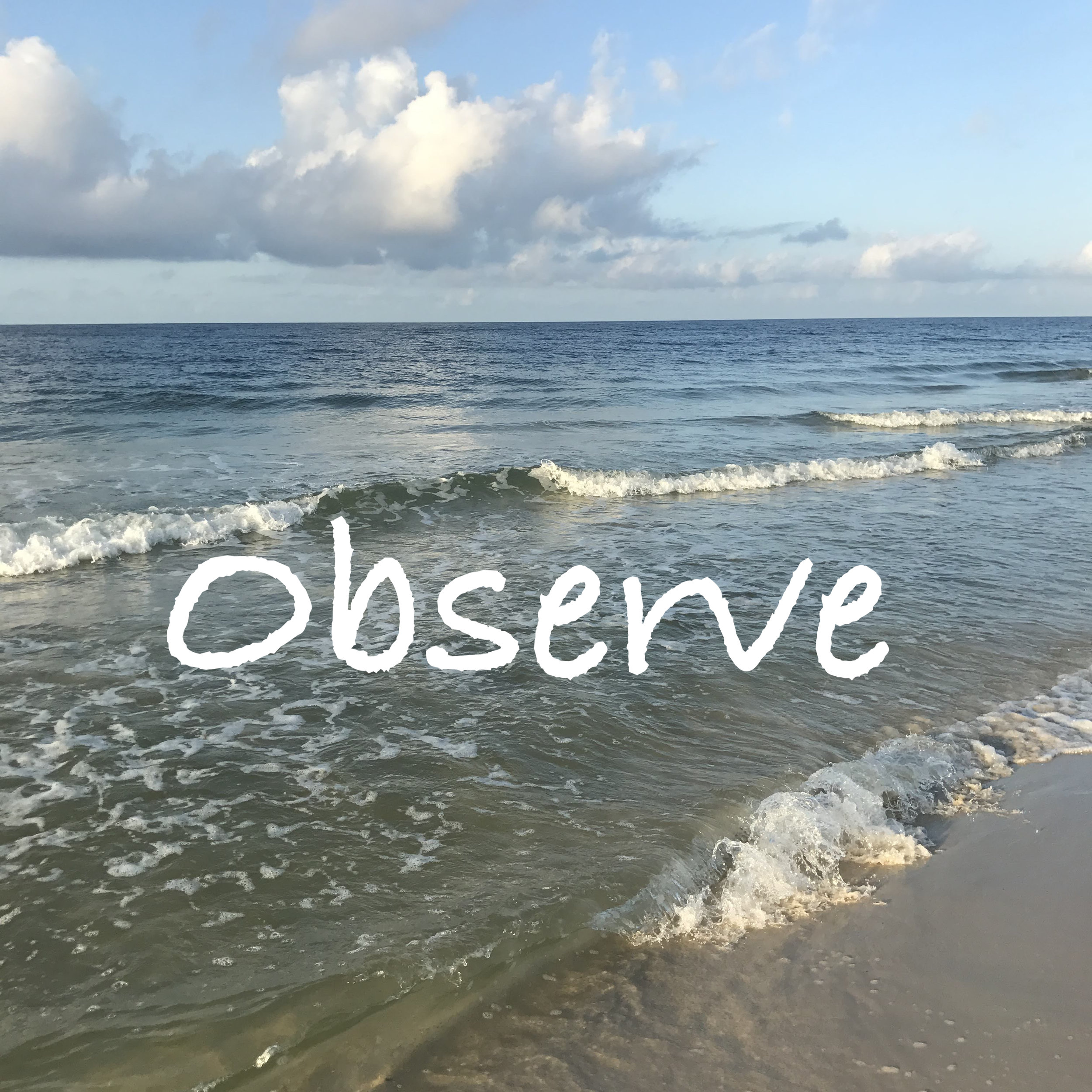 Observe.jpg