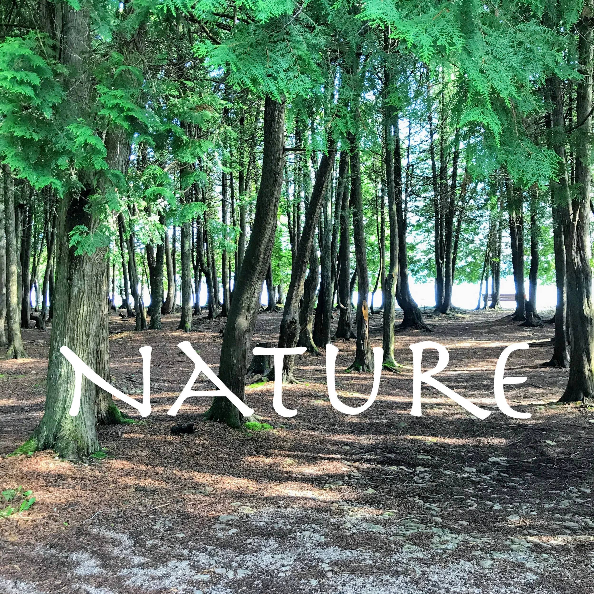 Nature.jpg