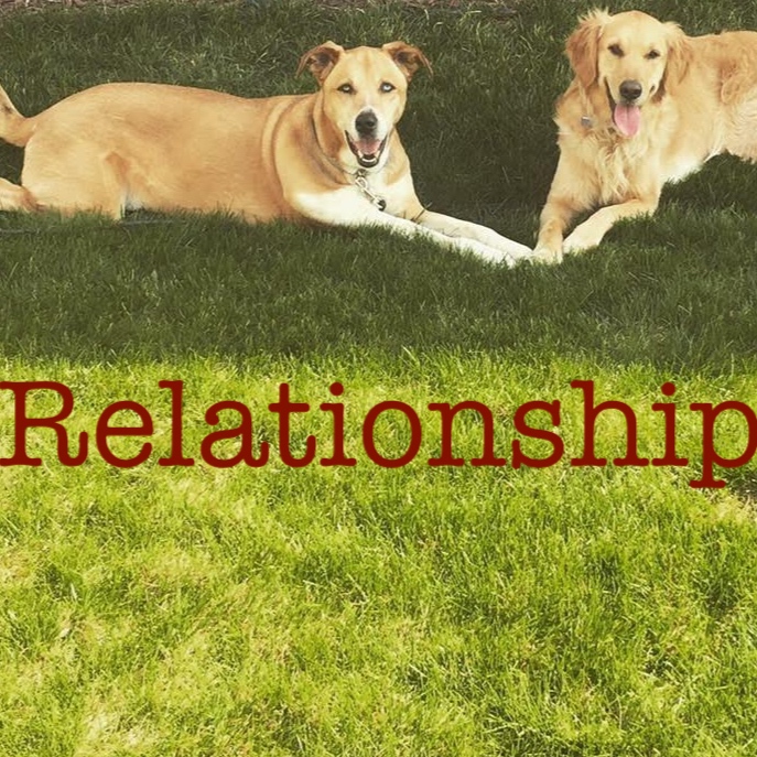 Relationships.jpg