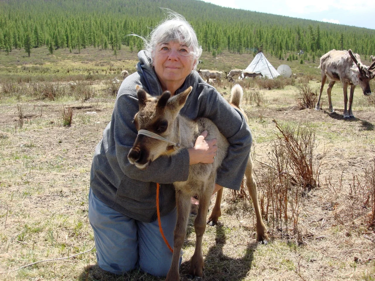 Virtual Partner - Collaborator Sas Carey - VERMONT & MONGOLIA