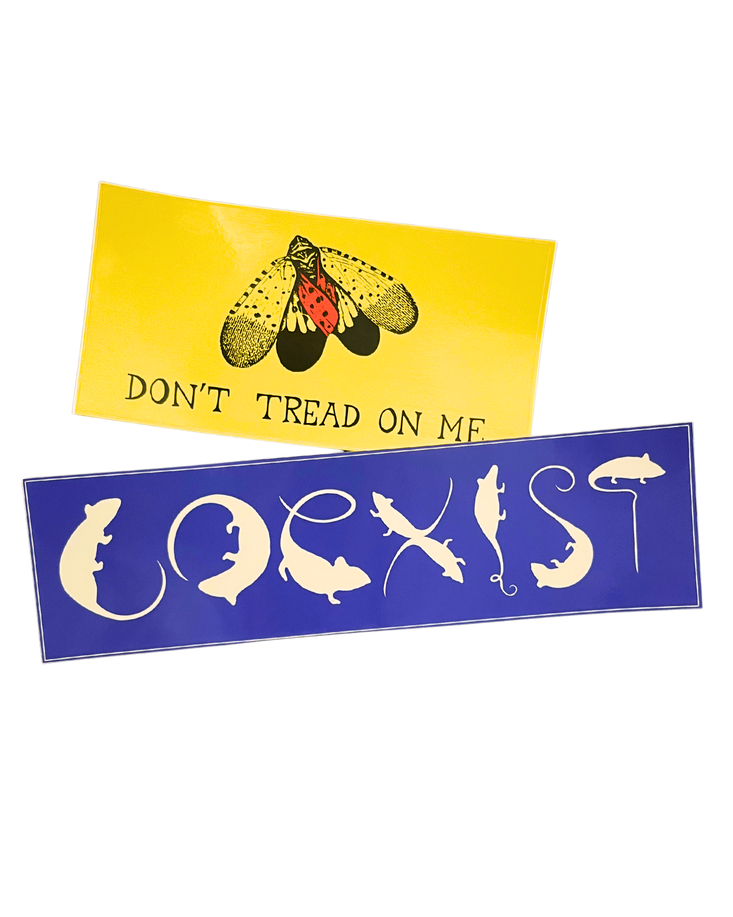 408c01bc-bb90-46b7-badd-b94062388cc0.png