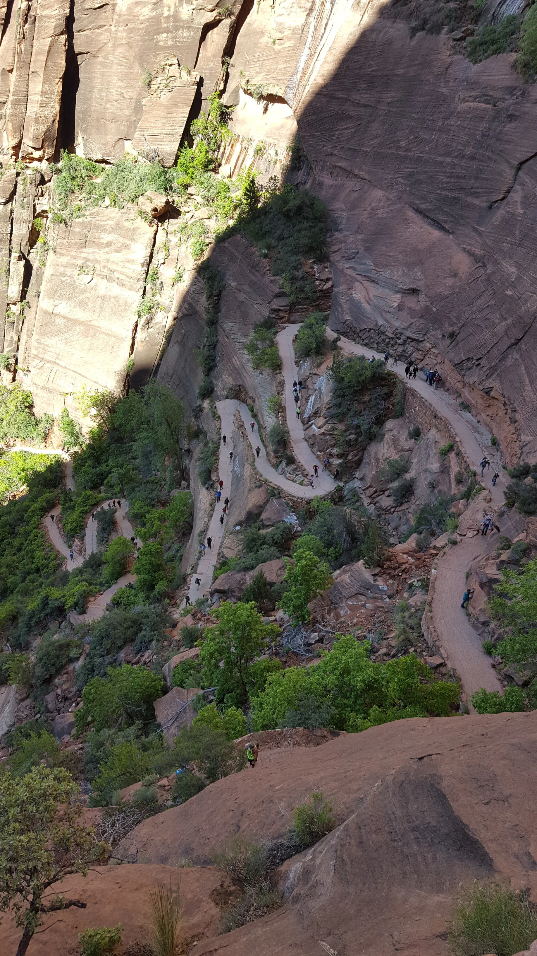 The first set of switchbacks. At this point you are not even close to Walter’s Wiggles, much less the top. Pain and agony in the lower regions of the anatomy!!