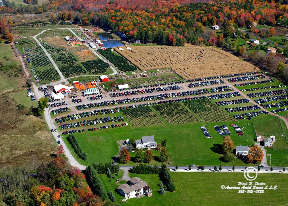 D2342_web_0112.jpg