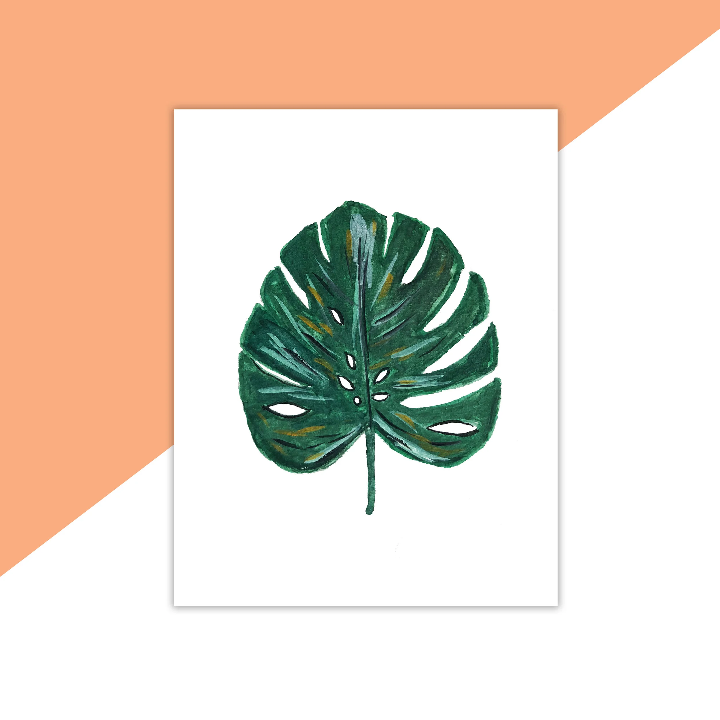 test.jpg