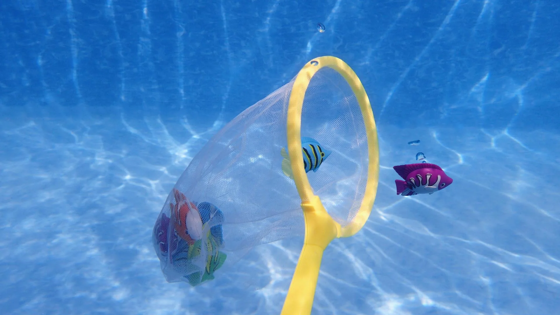 91140 FishNetGame.jpg