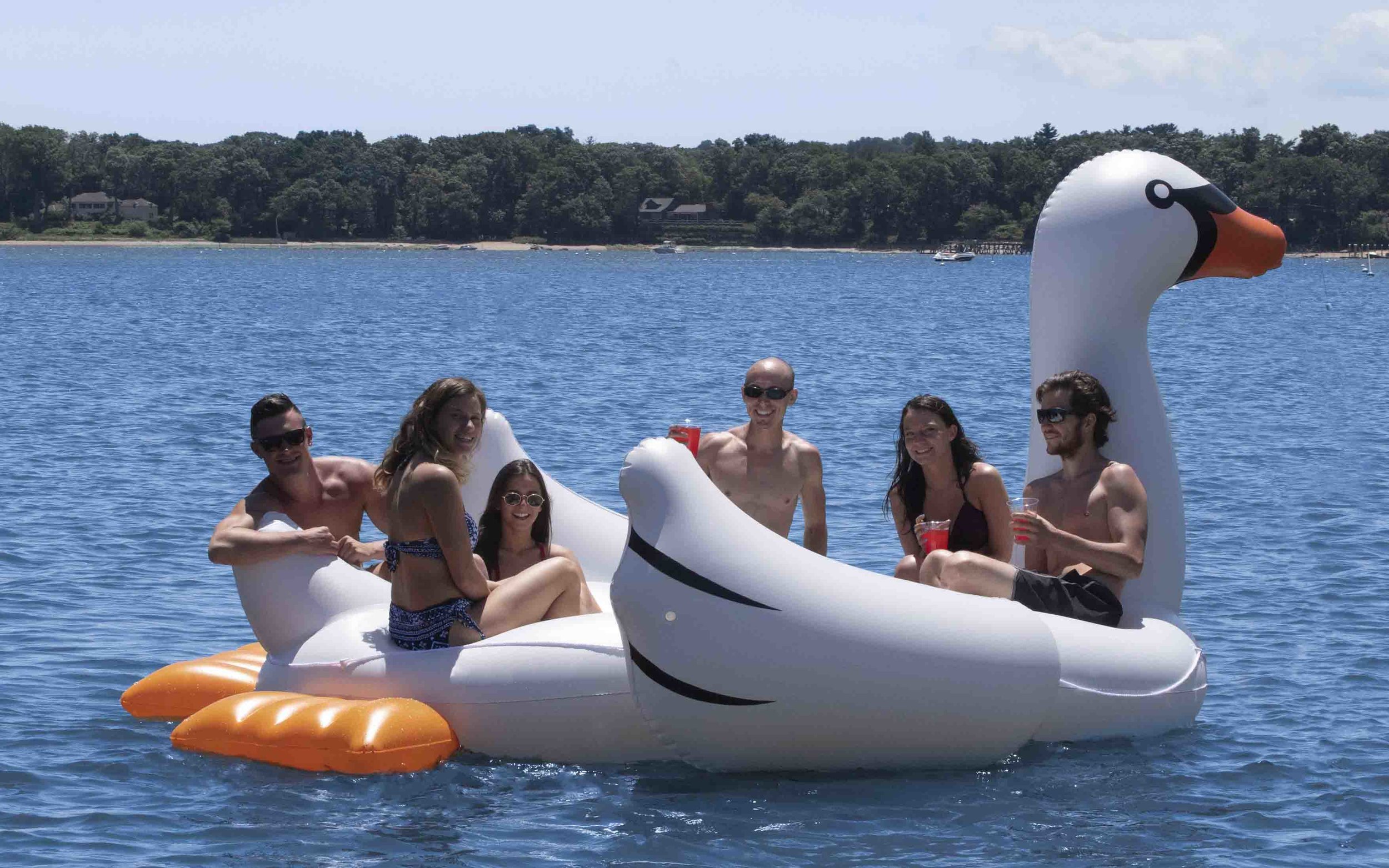 19700 BiggestGiantSwanSeatingModels.jpg