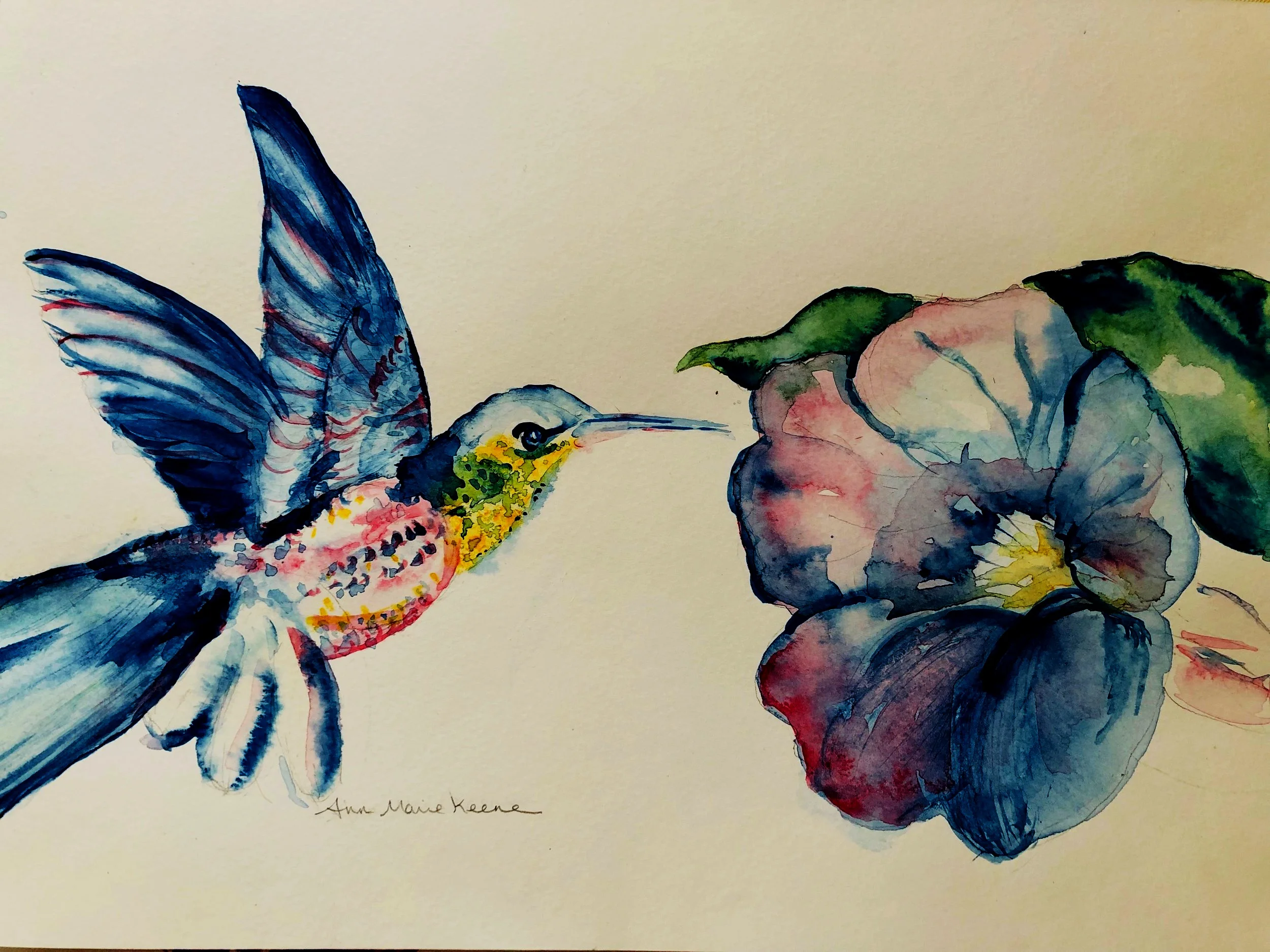 bird.jpg
