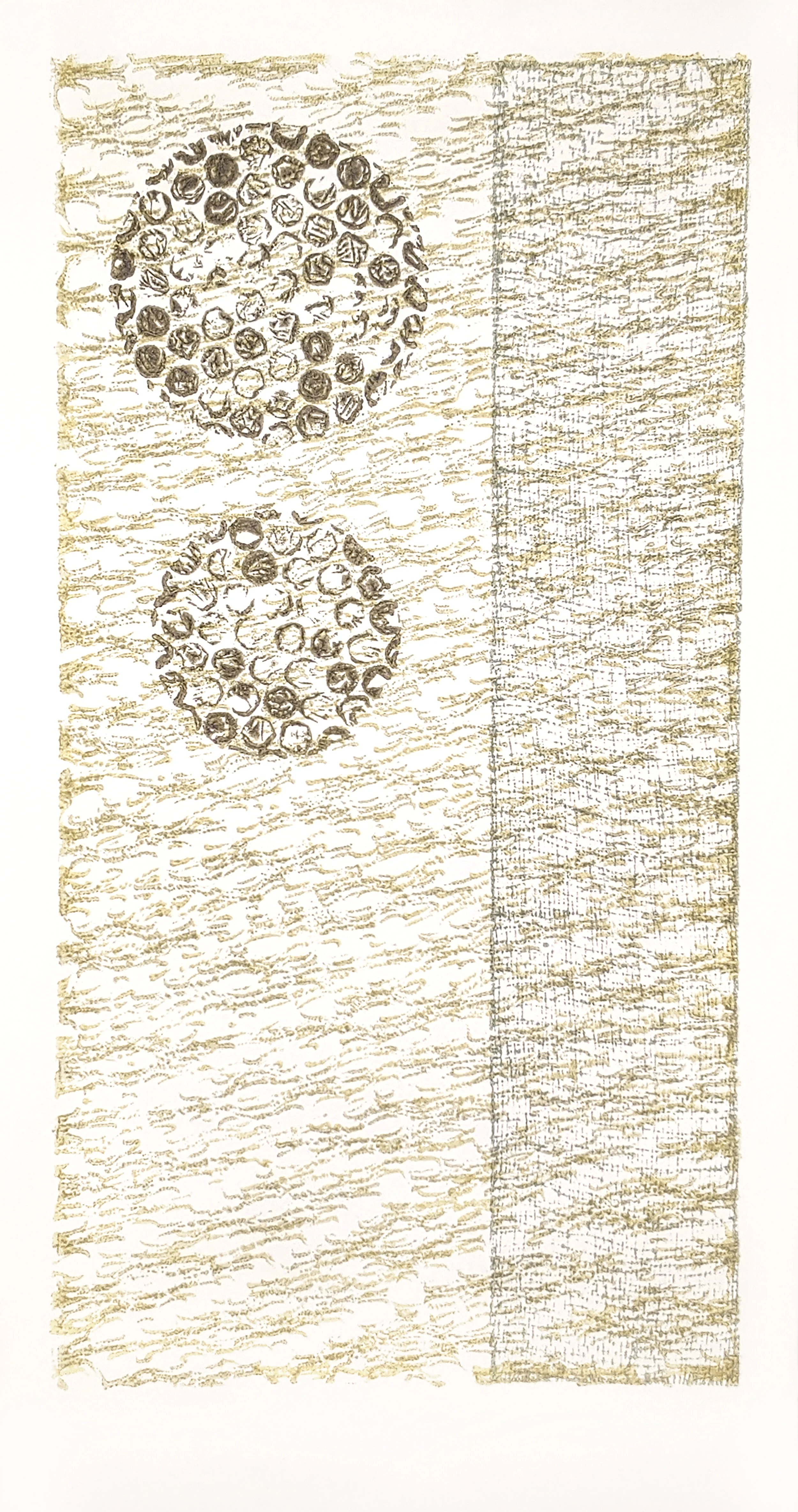 Snook_Collagraph_5.jpg