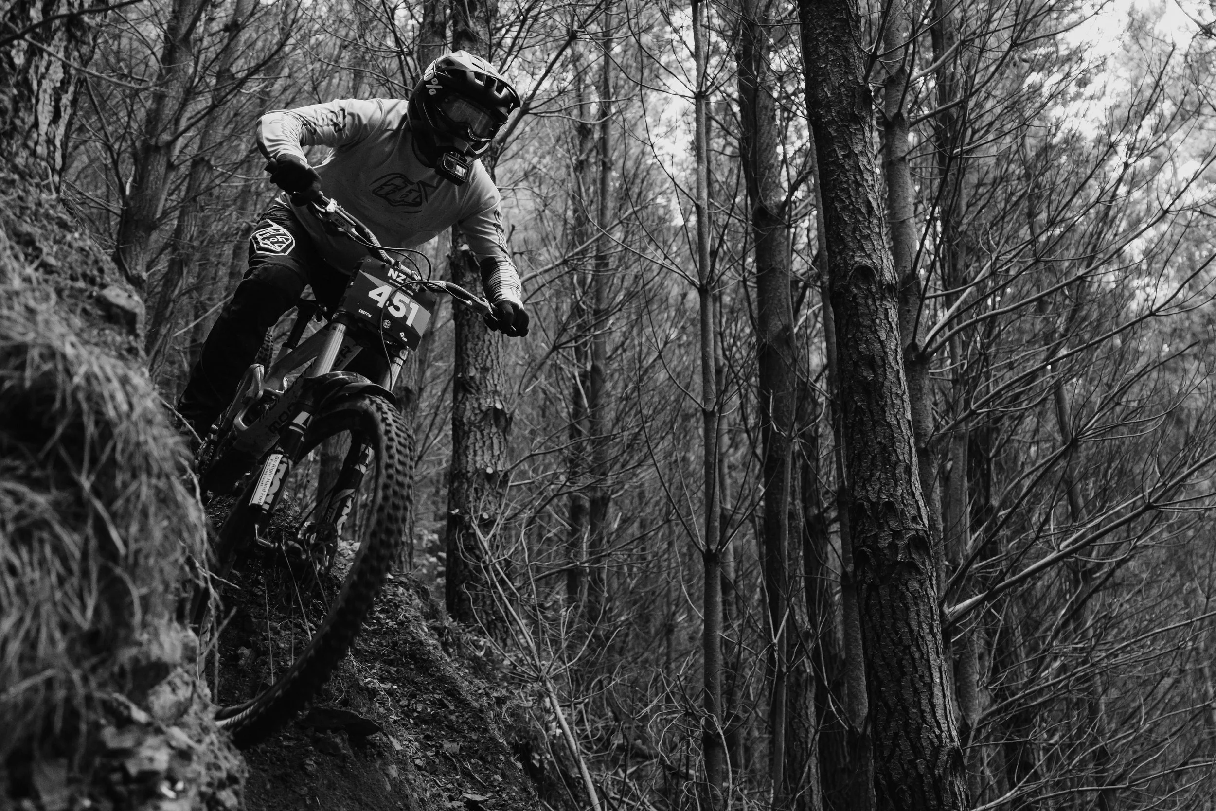 NZDH