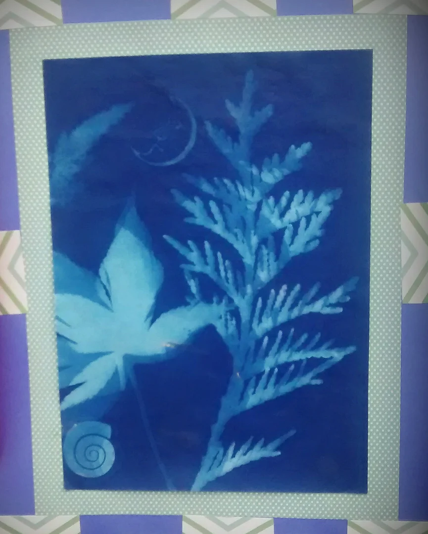 cyanotype1.jpg