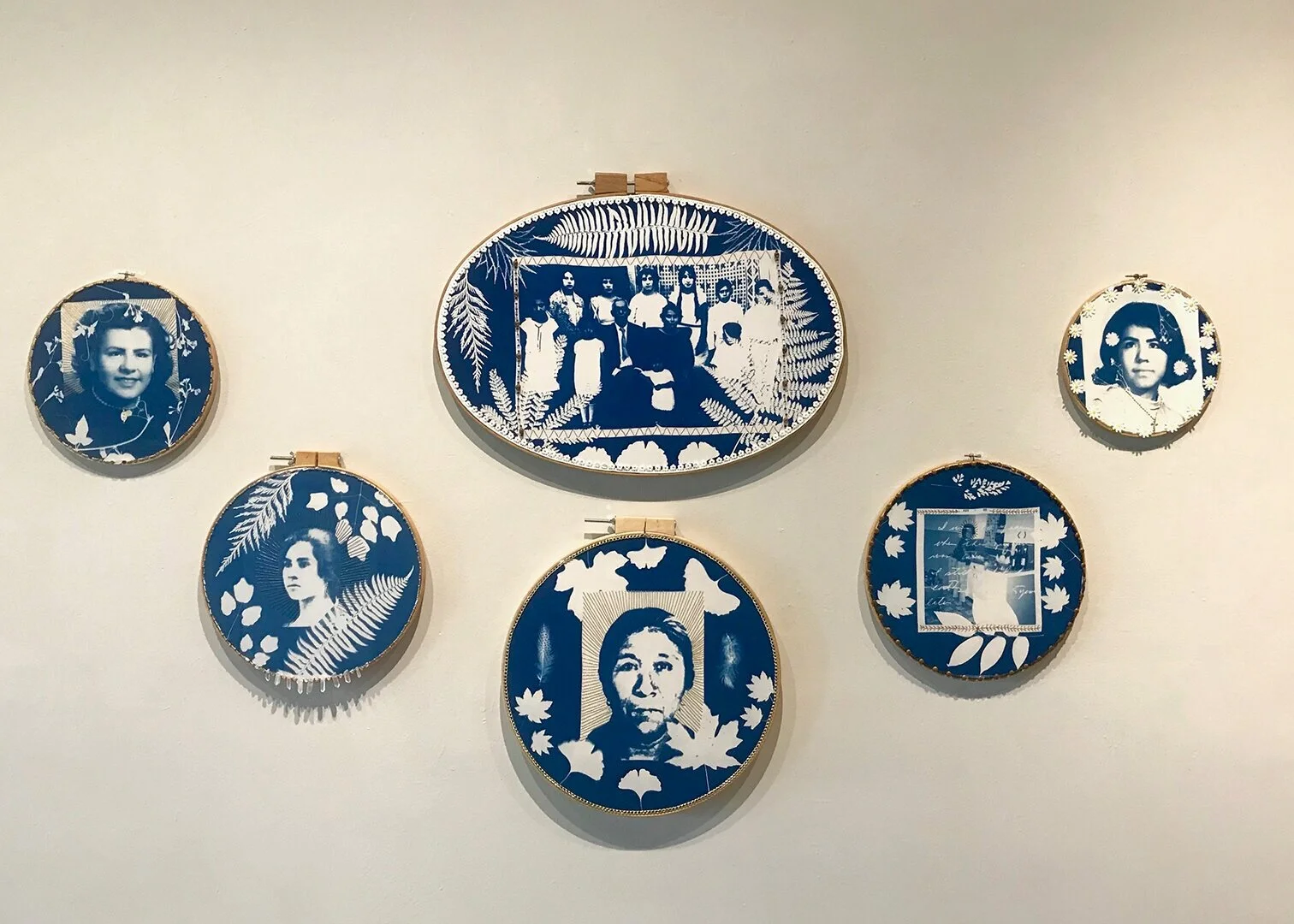 Cyanotype Collection