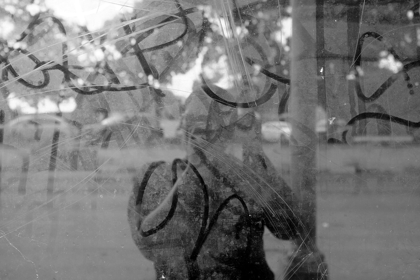 Self Reflection