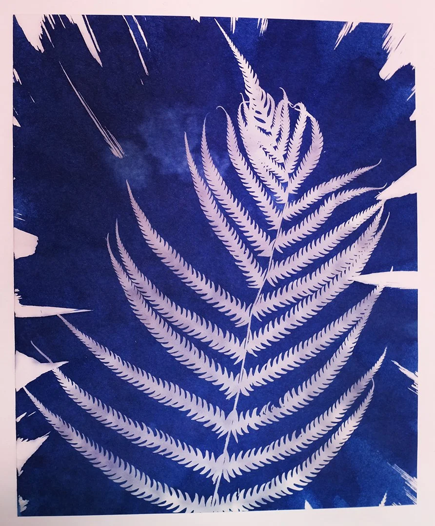 Fern Burst2.jpg
