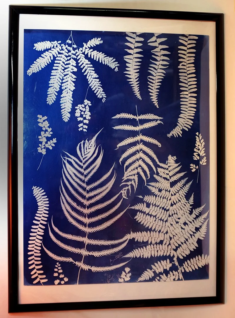 Fern Display1.jpg