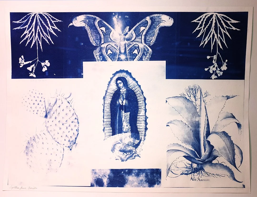 Virgin Mariposa.jpg