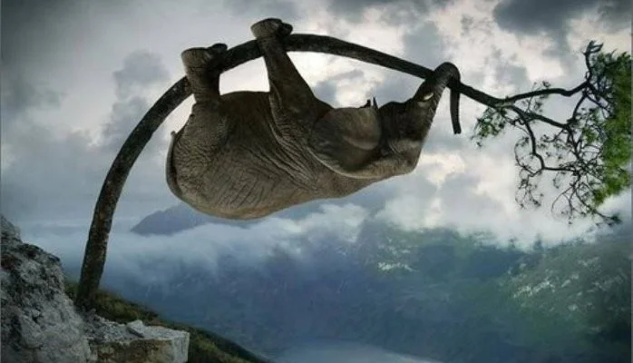 We All Have Talents and Strengths. How Do You Know What They Are?