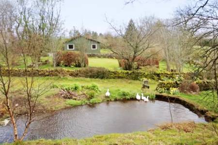 duck pond.jpg