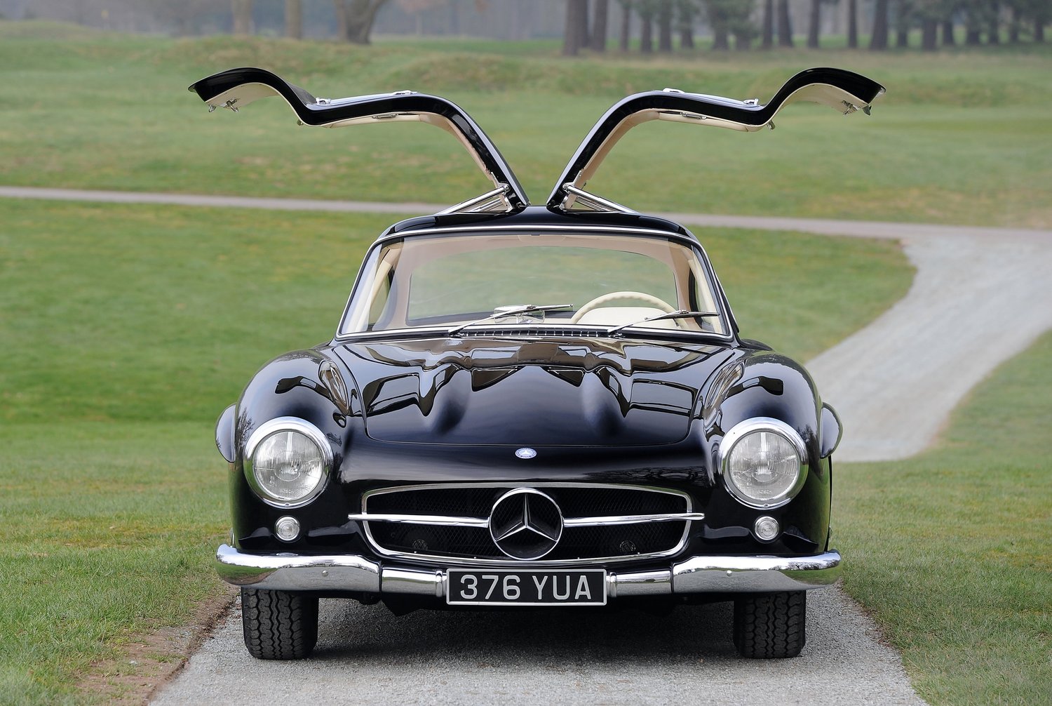 Black Mercedes Gullwing
