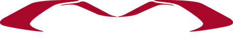 MT LOGO copy.png