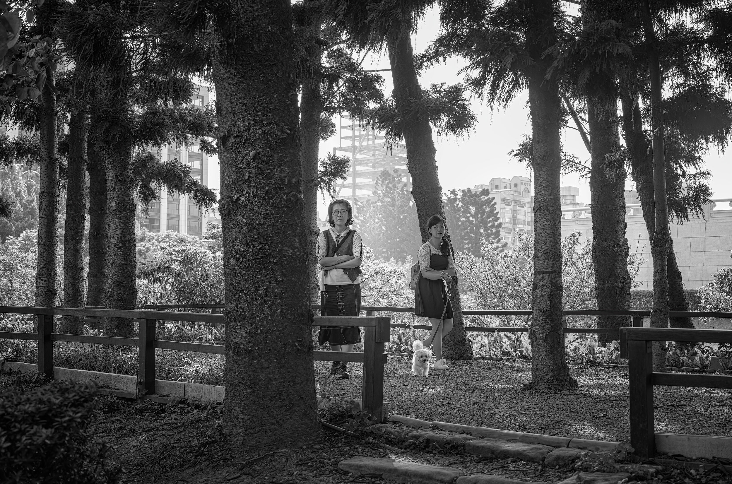 Evening live in Taipei City