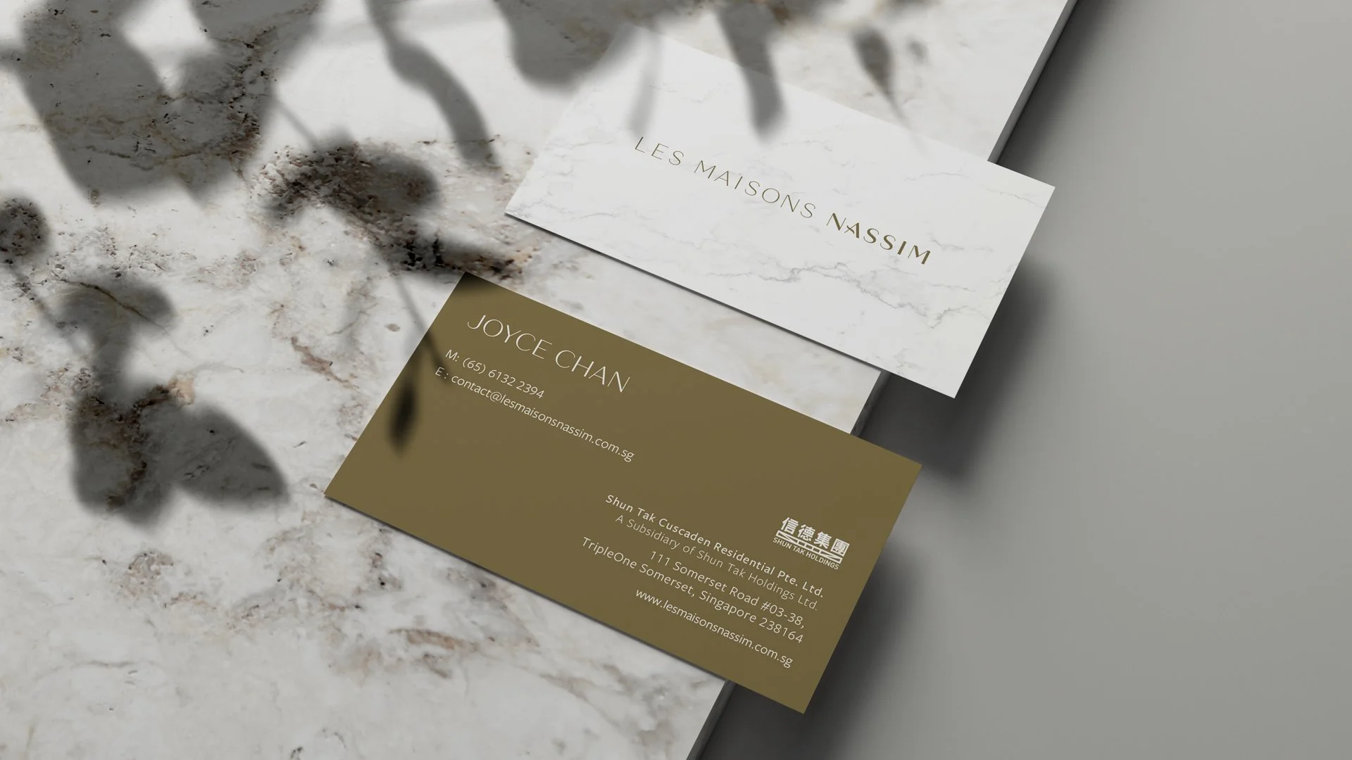 LMN_BUSINESS-CARD_MOCKUP.jpg