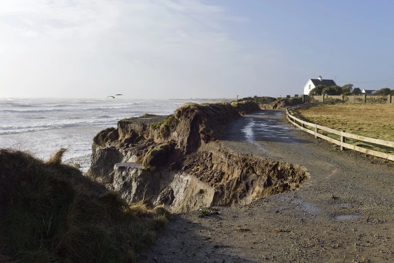 sb_20140106_0226_web.jpg