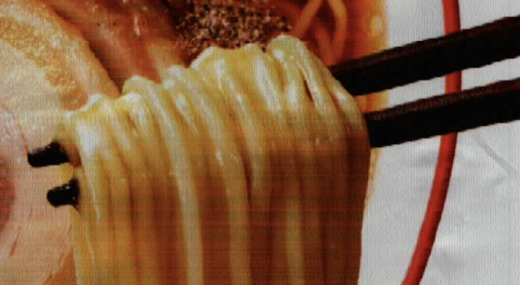 Hong Kong Artists, Illustrator, Hong Kong Toys