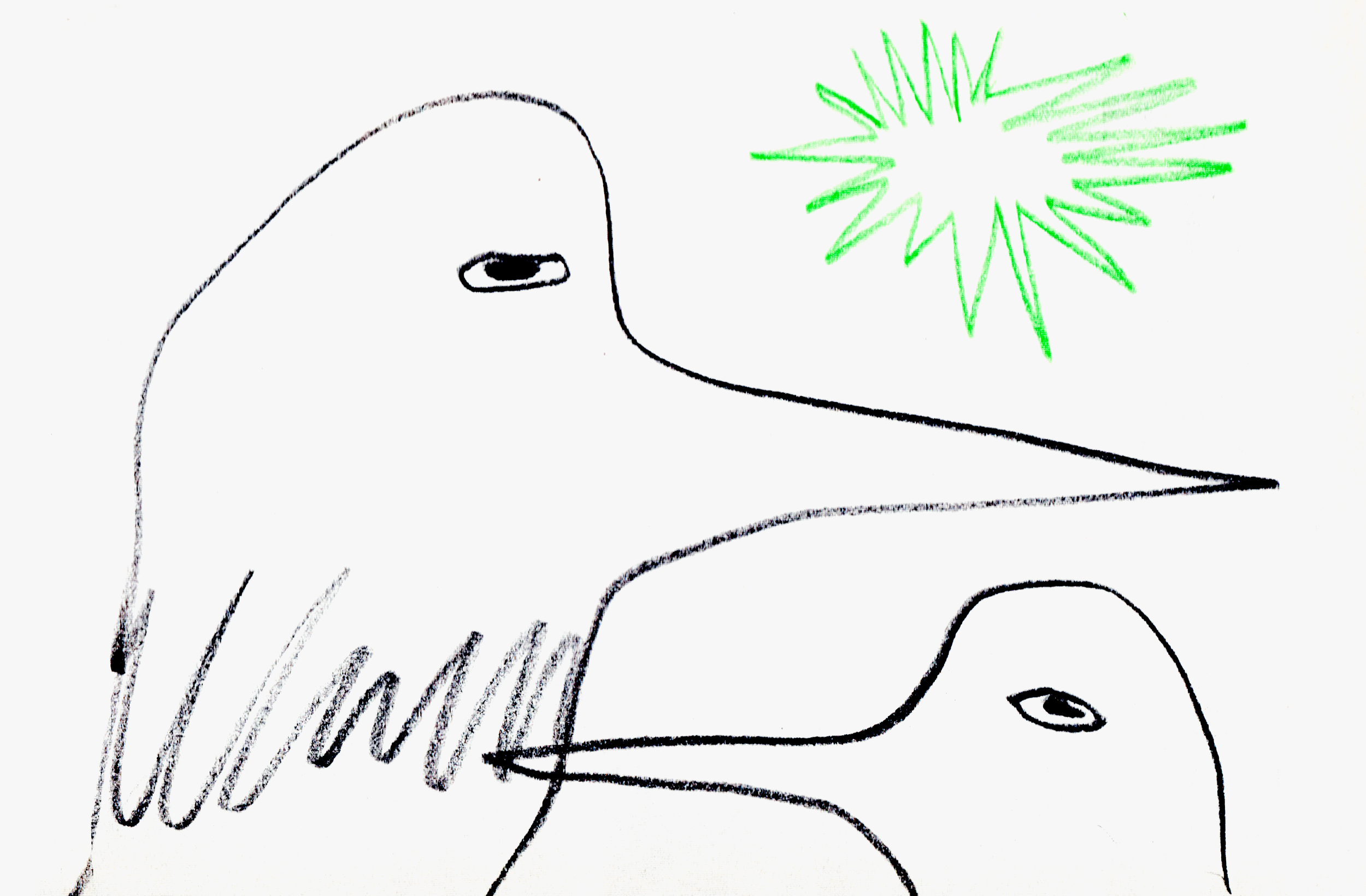 Bird Illustration, Hong Kong Illustration, Hong Kong Artist