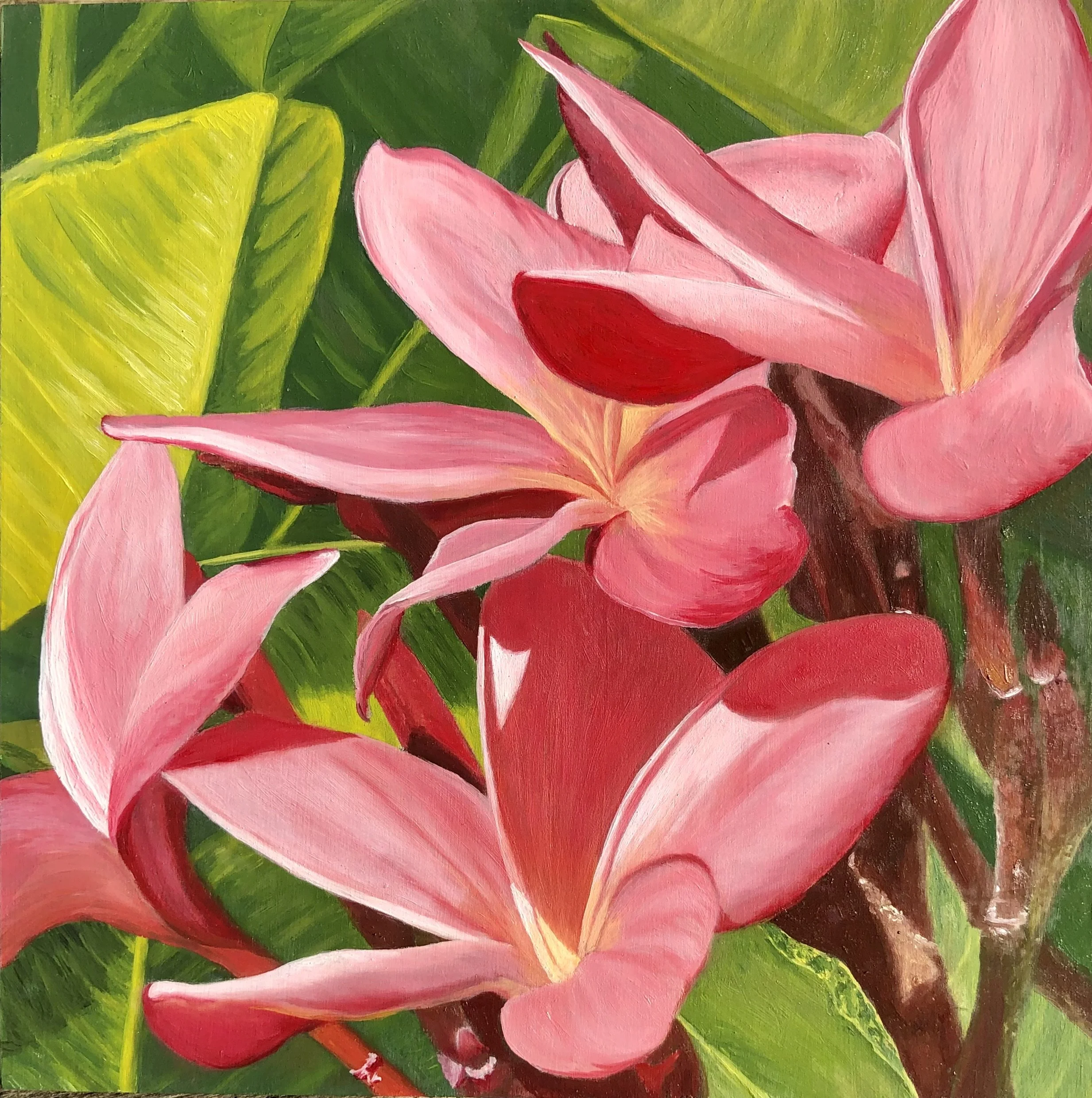  “Plumeria”  8 × 8” oil on board 