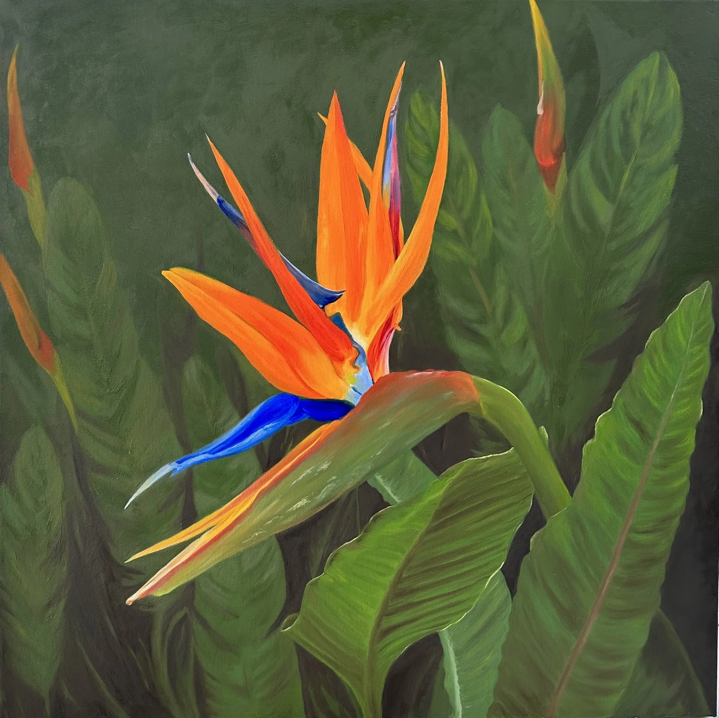  “Paradise Found”  24 × 24”   oil on gallery canvas 