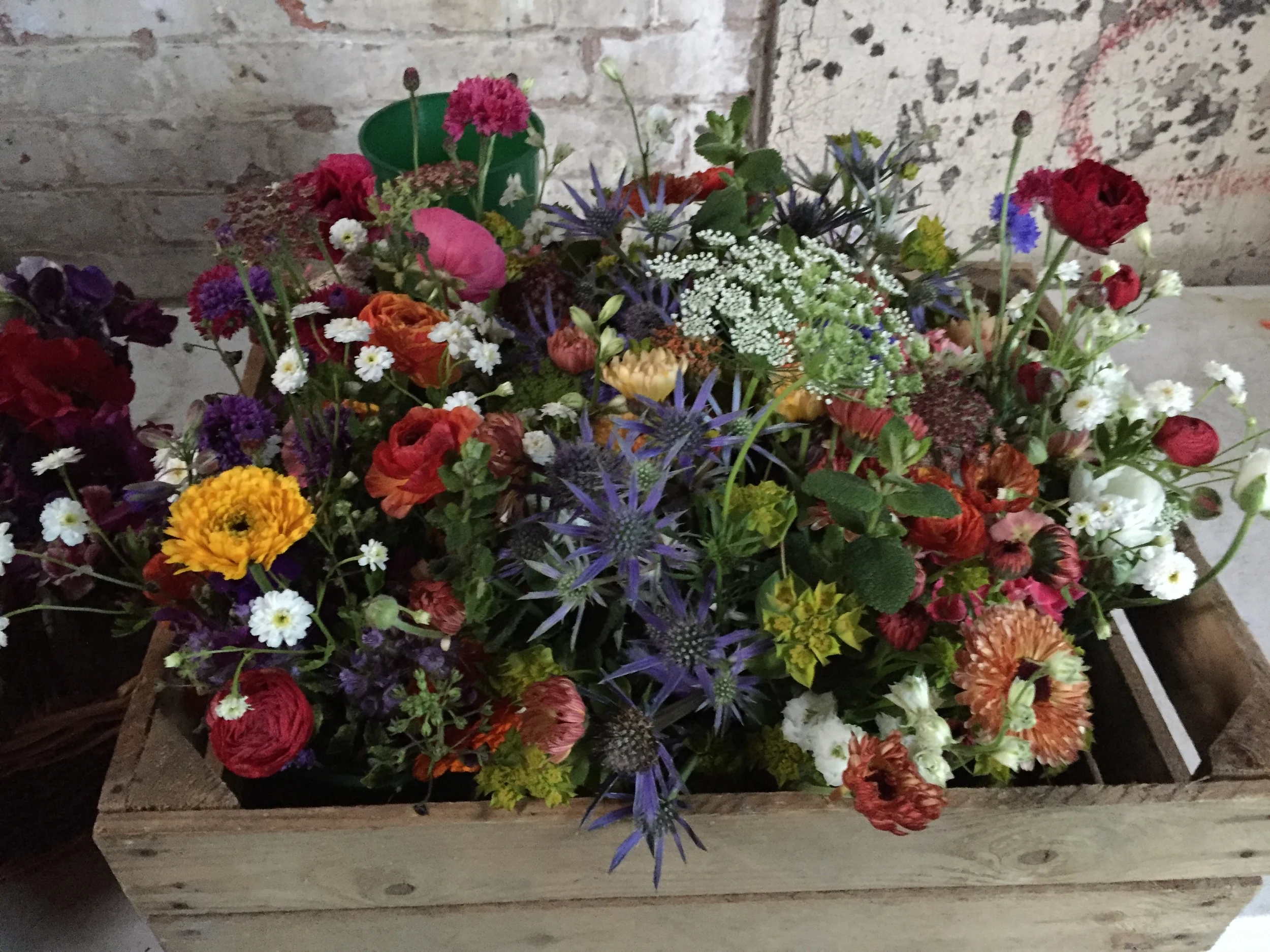 Jam jar posies