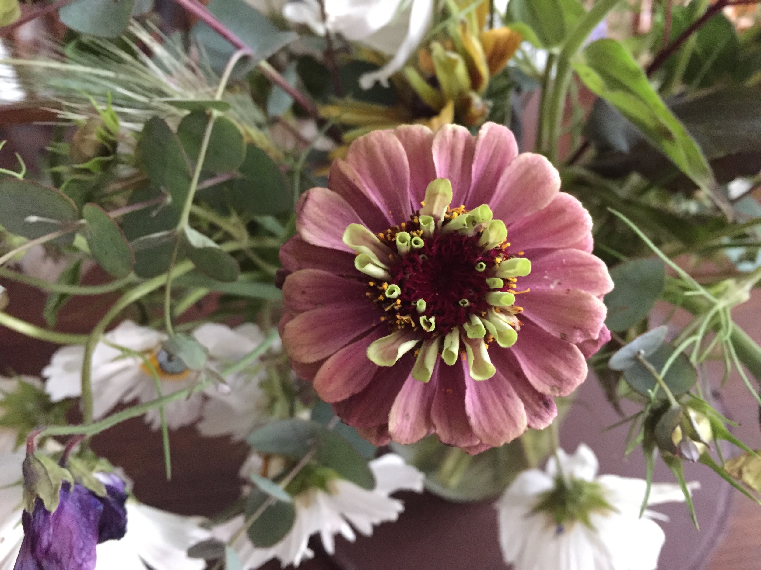 IMG_1750.jpeg